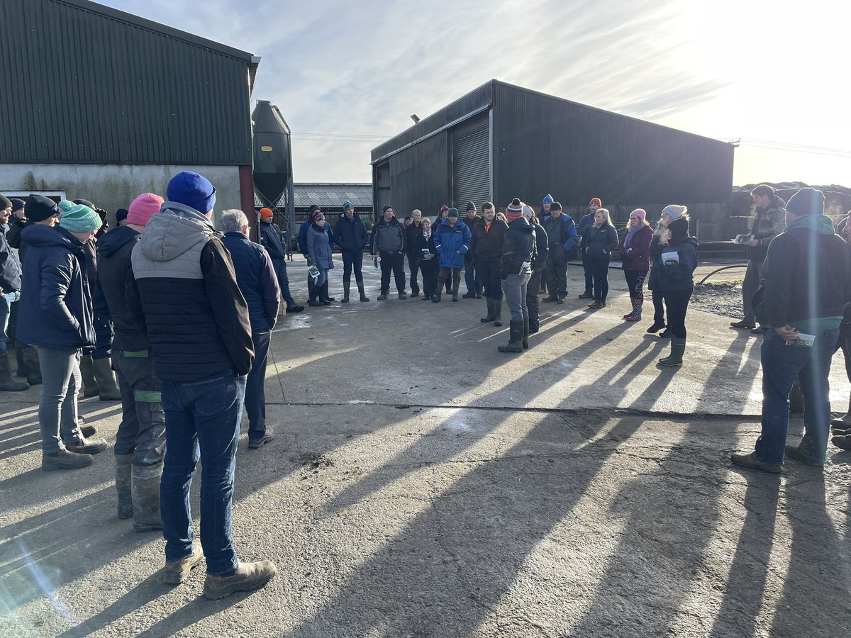 ArrabawnMilk4Profit tweet media