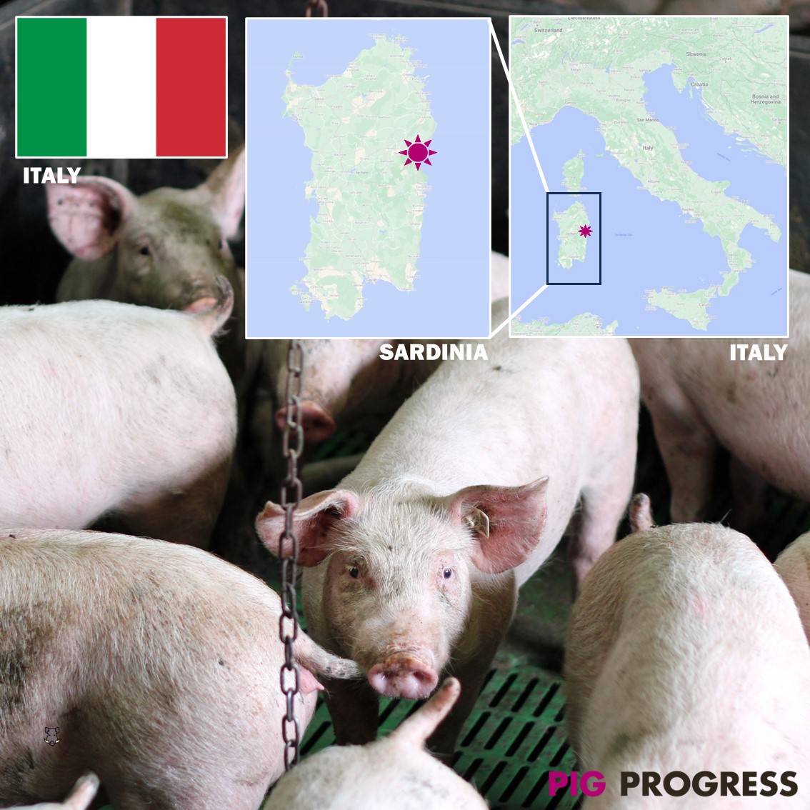 Vincent ter Beek tweet media