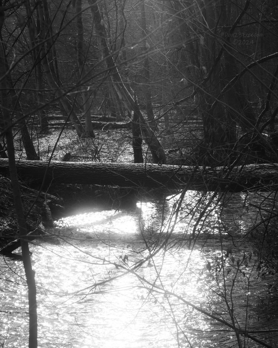 dan23freedom's tweet photo. 📷 1/125 sec at f/9,5, ISO 160, 78 mm (70-180) dan23freedom
#germany #nordrheinwestfalen #blackandwhitephotography #monochromatic #blackandwhite #riverwalk #Iloverivers #river_magic #trees #ilovetrees #tree_magic #waterreflection #reflections https://t.co/WghztVP9uc
