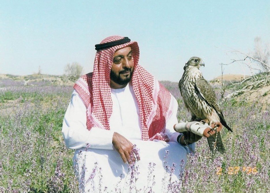 uae_parza's tweet photo. https://t.co/HJSI1pXO8b