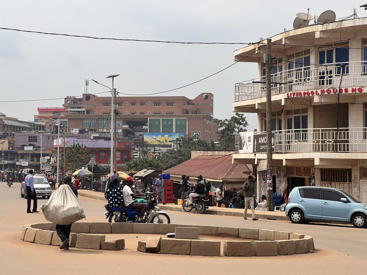 I am ziggy tweet media