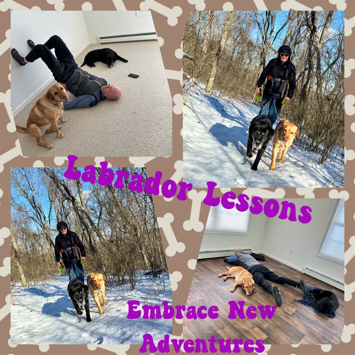 #LabradorLesson from #FitLabPGH (link below): Embrace new adventures! And if you’re nervous, enlist a trusted friend (or instructor) to guide you!

#2024Goals #TrySomethingNew #AdventureAwaits #JustMove #MoveMore 

tinyurl.com/FLP-AdventureL…