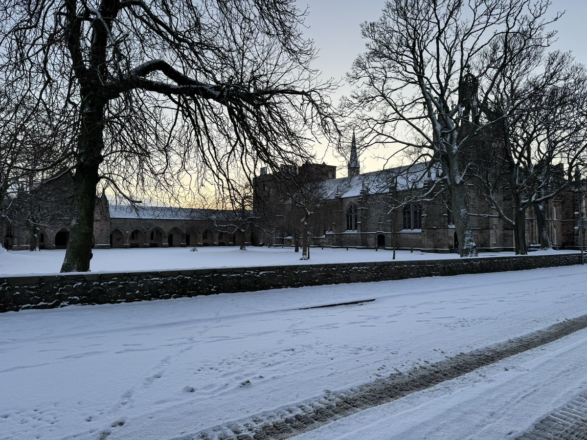 TawseDylan's tweet photo. Had a lovely walk round campus in the snow first thing this morning! ❄️ https://t.co/JzwFYe6Acq