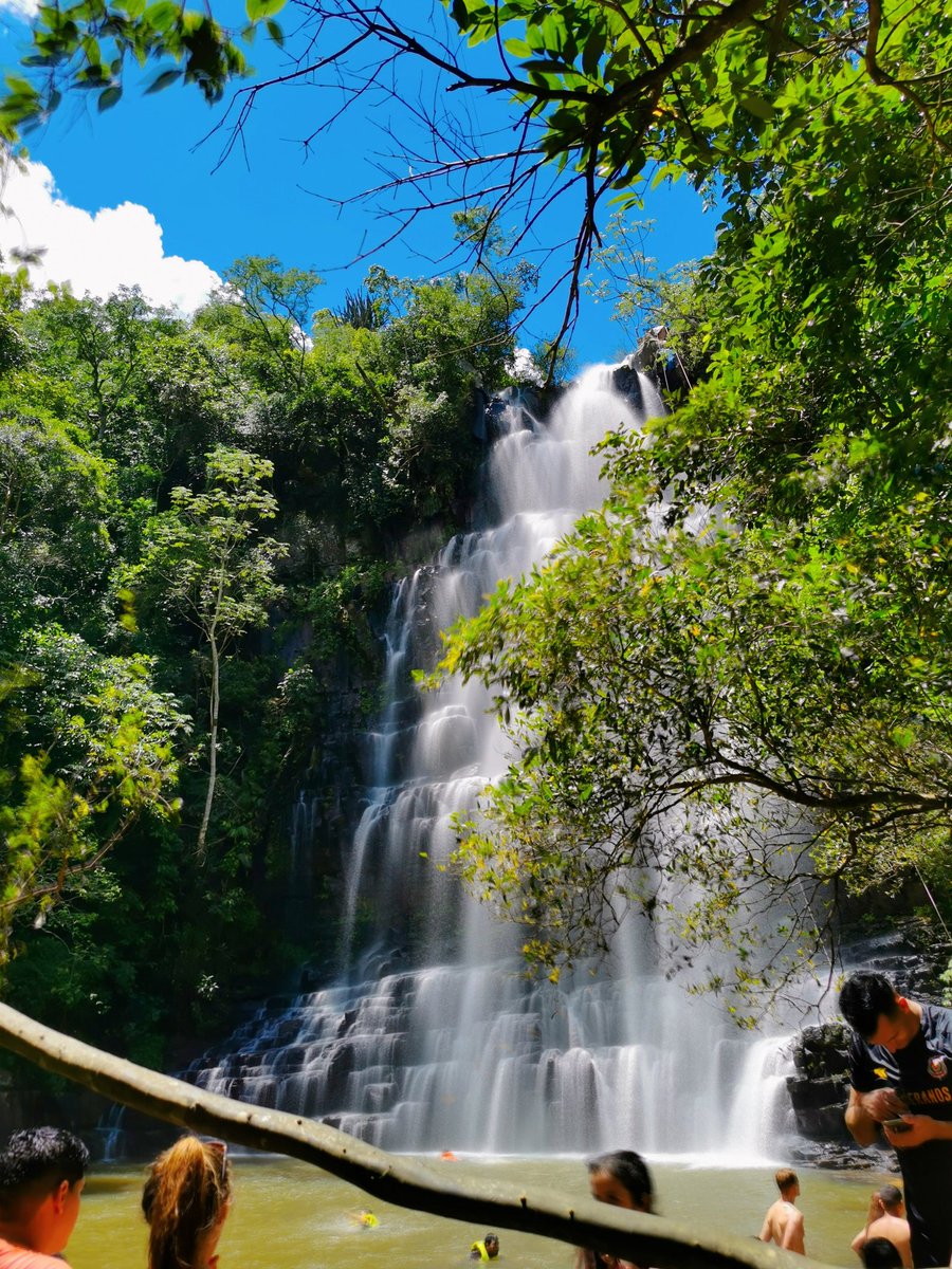 WillianCoronel's tweet photo. Un buen fin de semana 🌳🏞️ https://t.co/csdU9Gq8rq