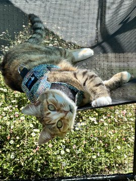 OxLanceablenf's tweet photo. Sun baking in the prison https://t.co/laaR61nFLl