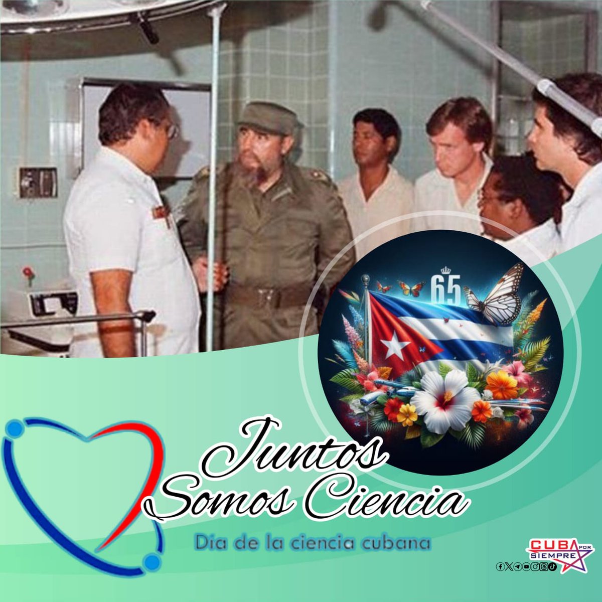 Miguel Colina tweet media