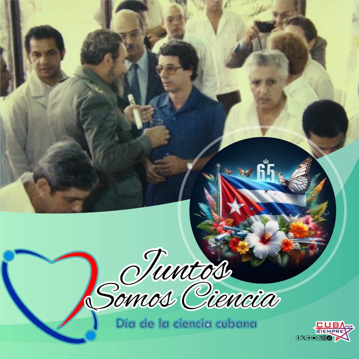 Miguel Colina tweet media