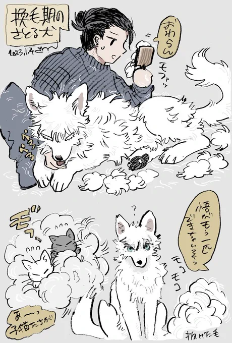 フカフカさとる犬(再掲) 