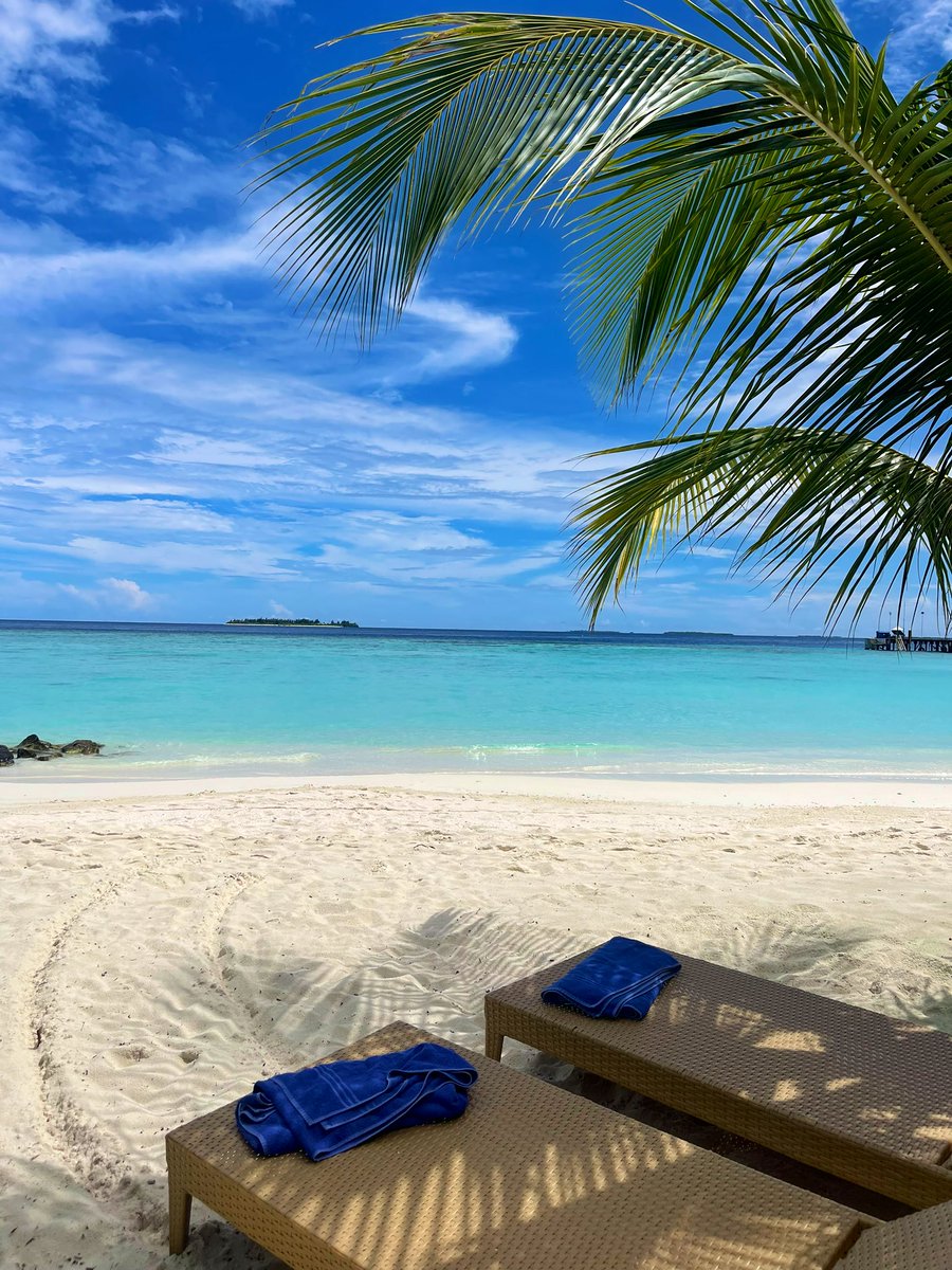 toriakeith's tweet photo. #BlueMonday 🩵🌊 https://t.co/sQLFhvZ7eJ