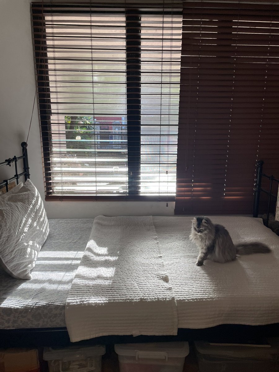 토마뀨 (@burningtomatto) on Twitter photo 