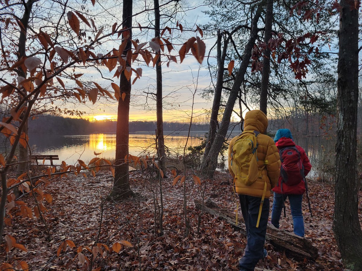fairfaxparks's tweet photo. “If you can’t fly, then run, if you can’t run then walk, if you can’t walk then crawl, but whatever you do, you have to keep moving forward.” - Martin Luther King, Jr.
📸: H. Cheng (Burke Lake Park)
#mlkday #firsthike #fairfaxparks https://t.co/FstC0UnjL0