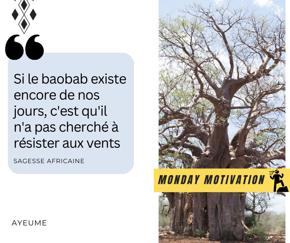 Rallyes_Ayeume's tweet photo. Bonjour cher réseau, nous espérons que cette 3e semaine de l'année 2024 vous offrira tout le meilleur !
#mondaymotivation #mondaymood #africanwisdom #sagesseafricaine #africanquotes #wisdomquotes #ayeume https://t.co/Ewv0chntPm