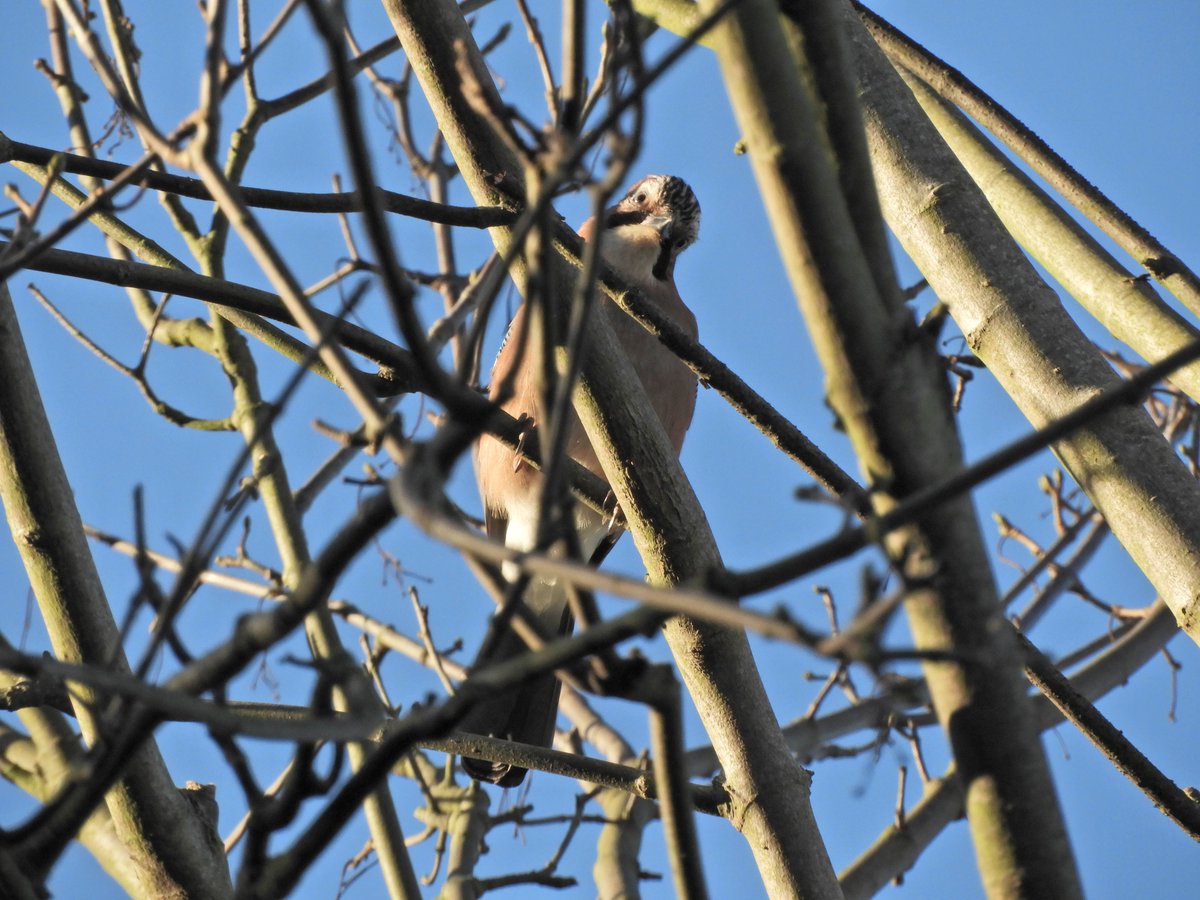 Phil Bull tweet media