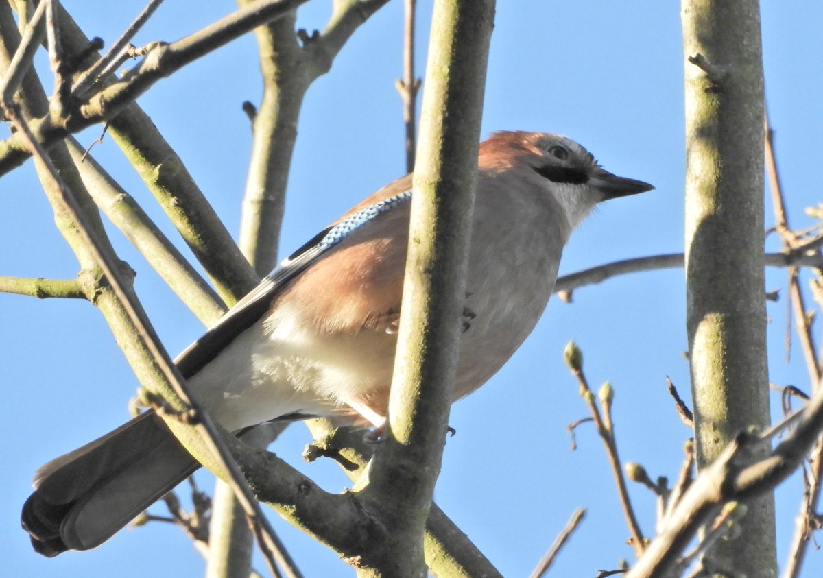 Phil Bull tweet media