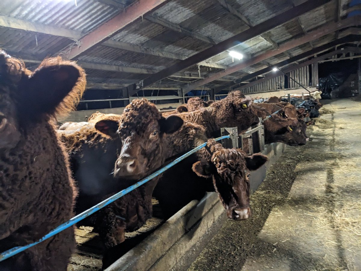 Ed Barker tweet media