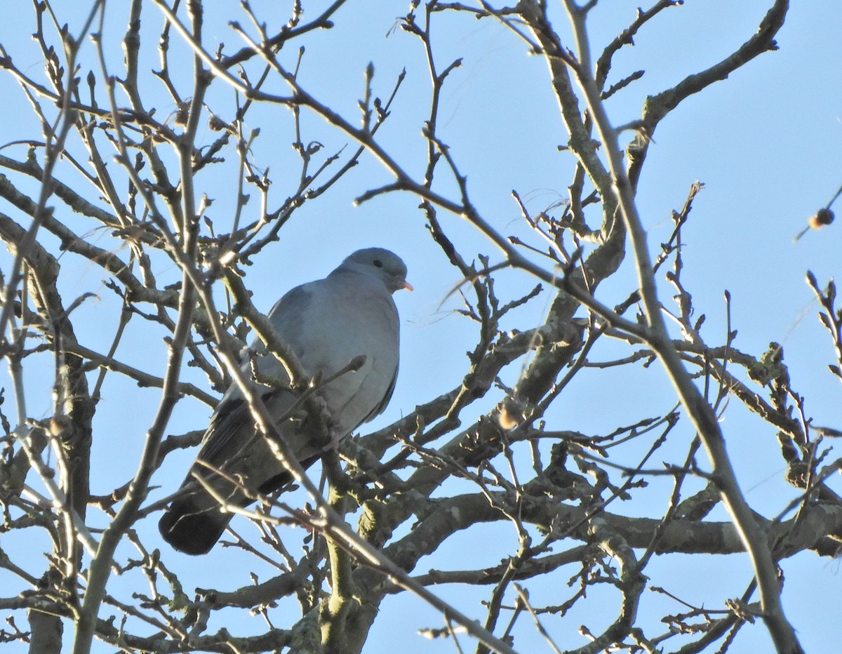 Phil Bull tweet media