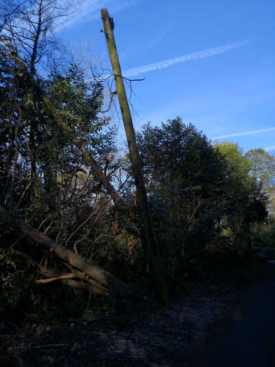 Amy Williams 🏴󠁧󠁢󠁷󠁬󠁳󠁿 tweet media