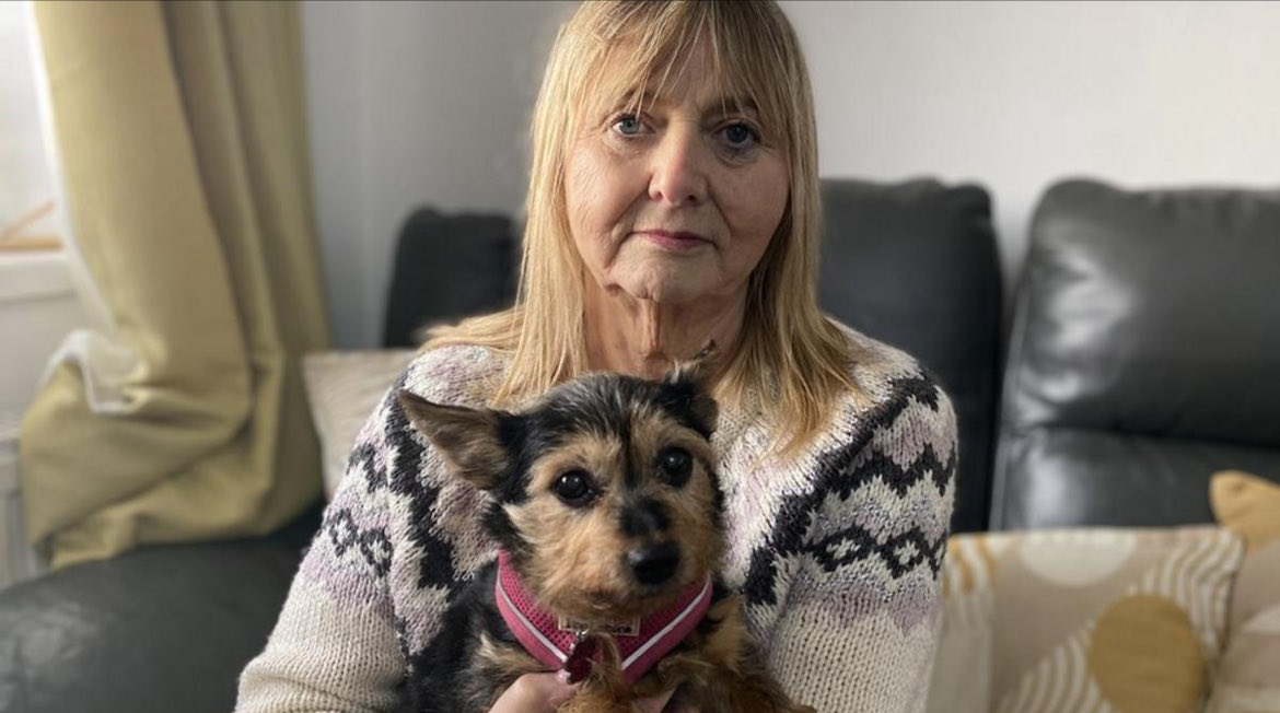 ‼️Please be aware of this scam‼️

Missing pets: 'Heartless' scammers targeting desperate owners bbc.co.uk/news/uk-englan… @bbcnews
MT @Cumbriapolice #PetTheft #MissingPets #dogs #Cats