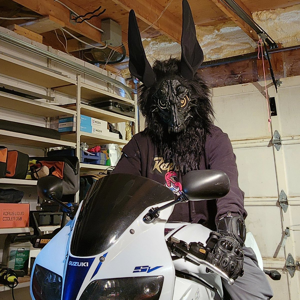 Mememastet642's tweet photo. New mask just came in the mail goes hard with the motorcycle https://t.co/LUdNKgn8XV