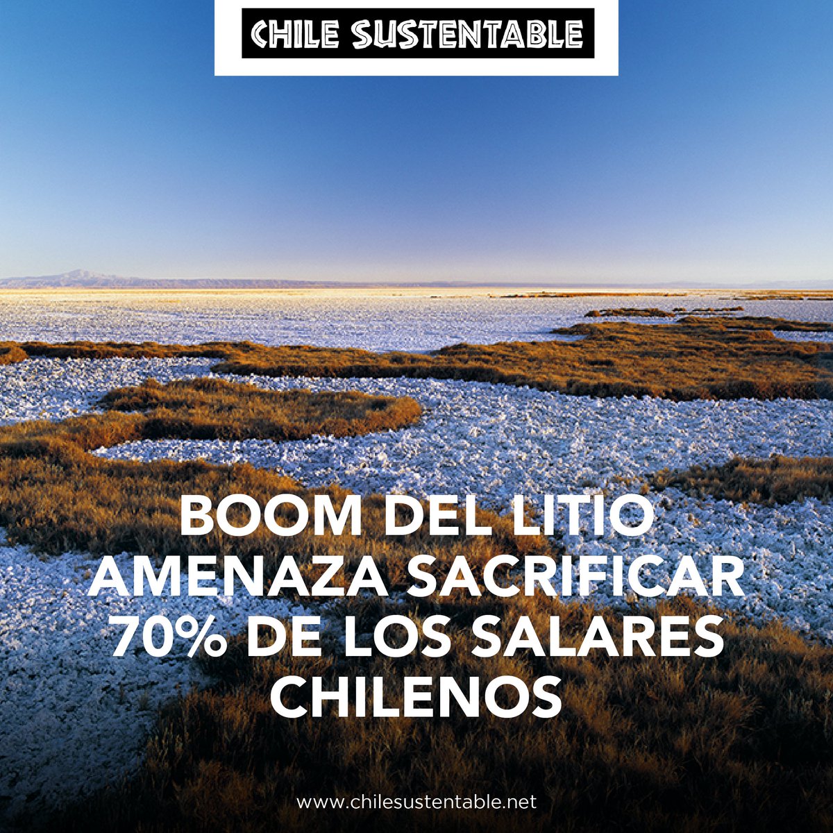 ONG Chile Sustentable 🌎 tweet media