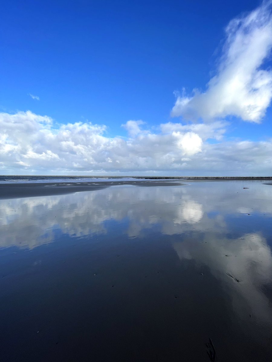 Wenneke123's tweet photo. Blue Monday 💙❄️🌊 #bluemonday https://t.co/NmPnLSvVBO