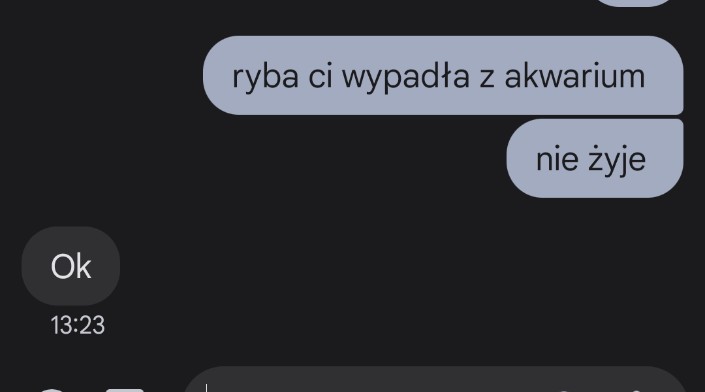 nieumarta's tweet photo. stary jest w głębokiej żałobie https://t.co/hwf7hNgZTv
