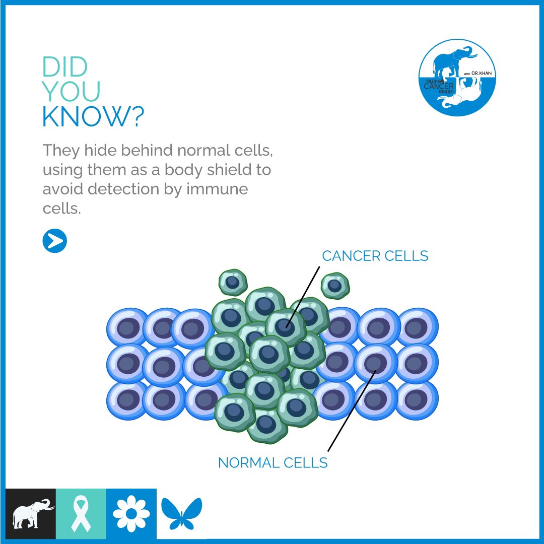 KCKwithDrMK's tweet photo. Did you know?

#CancerAwareness #SurvivorStories #StrengthInUnity #DNARepair #CancerDevelopment #GeneticResearch #KCK #cancerawareness #killcancer https://t.co/LjBwJLgIeS