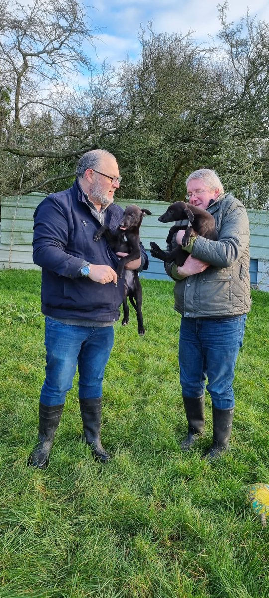 RomfordDogs's tweet image. YOUR DAILY PUPPY FIX🥰🐾

Some of our Bar &amp;amp; Catering Team took a trip out to Gaskin Kennels &amp;amp; got their cuddles in!❤️

A great learning experience - Many different departments here at Romford Greyhound Stadium are keen to get involved and see what goes on behind the scenes, isn’t…