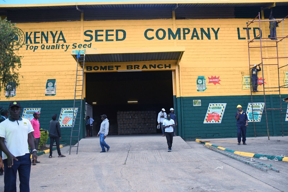 kenyaseedltd's tweet image. 🎉 🎉🥳🥳 Kenya Seed Company Bomet Branch is 99.99% ready⌛ Ni final touches tu! Tukutane kesho 10AM🕙 sharp for grand opening.

📌 NCPB Bomet Town

@Simlaw_Seeds
#Topqualityseed
#Newbranch 
#Foodsecurity