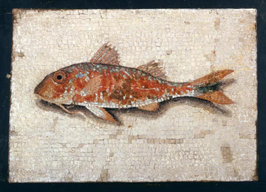 Archaeology & Art tweet media