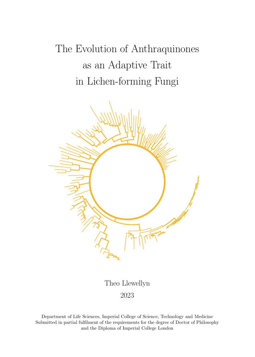 This #MycoMonday we're celebrating Dr @theo_llewellyn who successfully defended his thesis on Friday! 🍄🧫🧡🧬🥳

Theo's PhD focused on the evolution of UV-protective pigments (anthraquinones) in lichens and how these pigments allow certain lineages to live in extreme habitats.