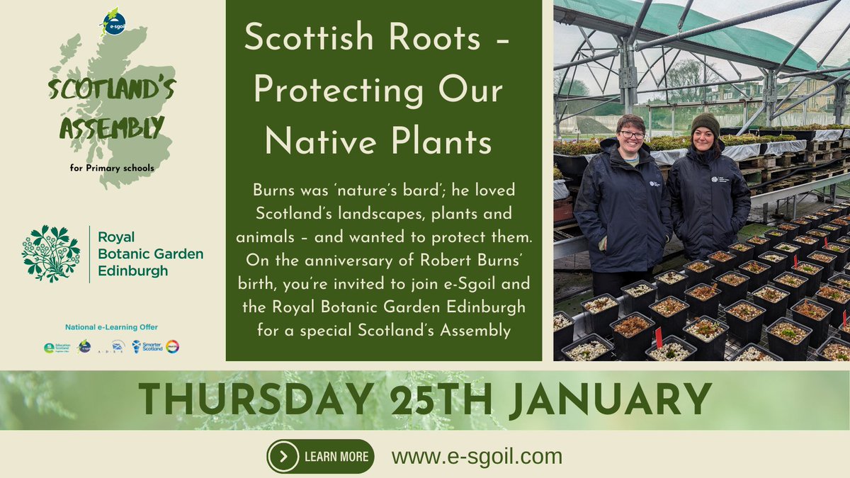 📣 On the anniversary of Robert Burns’ birth, #TeamRBGE staff will join <a href="/eSgoil/">e-Sgoil</a> for a special #ScotlandsAssembly! Burns was ‘nature’s bard’; he loved, and wanted to protect, Scotland’s landscapes, plants and animals, making this the perfect date to learn about our native plants⬇️
