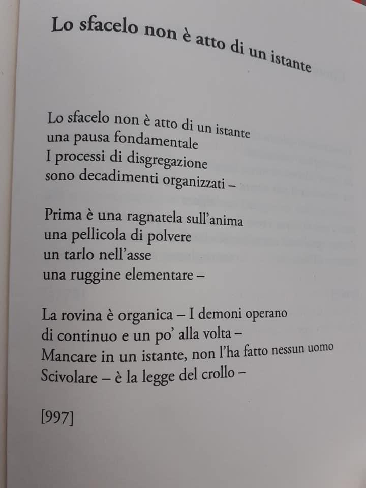 crislomb's tweet image. Emily Dickinson.