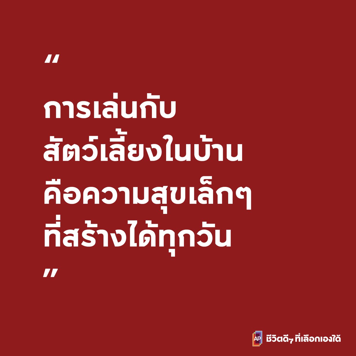AP Thailand tweet media