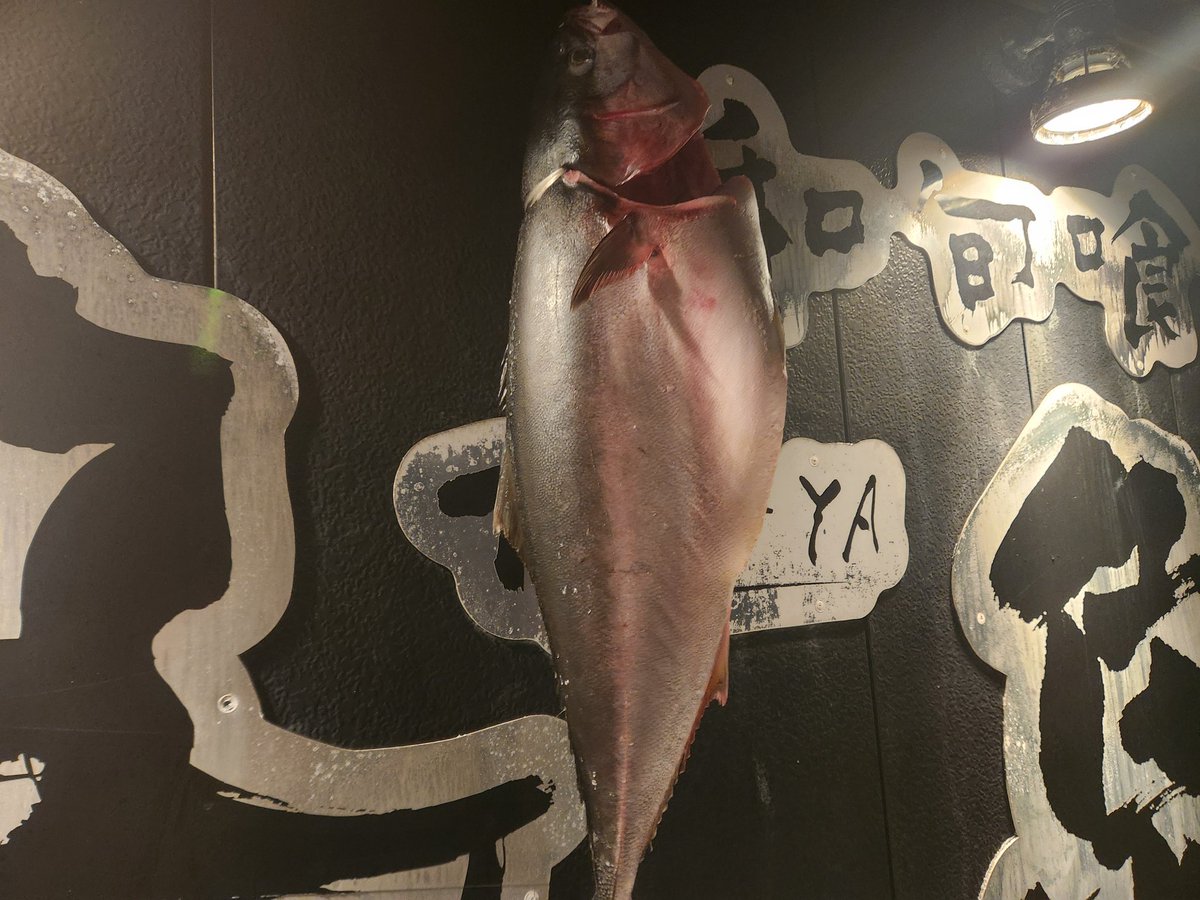 和旬喰燗 魚家 (@Y6hFp6n88LsxM1i) / Posts / X