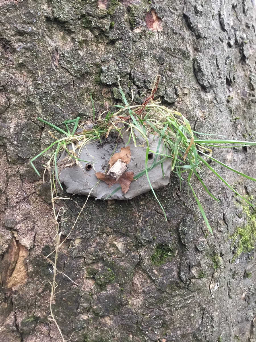 Alty CE EYFS tweet media