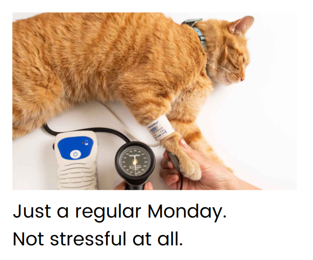 What about a dose of Monday motivation memes? 

Share which one from the THREAD is your favorite!

#humour #funny #studytips #college #studying #education