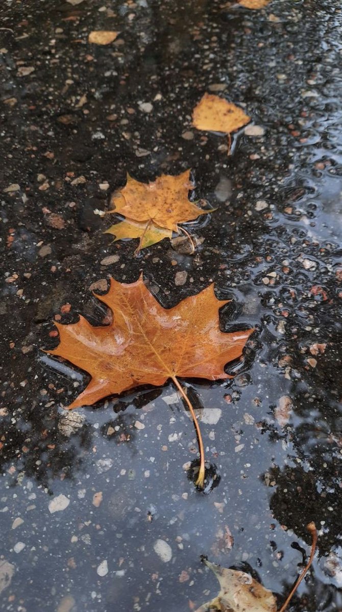 Hayat insana her hatasında, başka bir ders verir.
Her yanlış, insanı başka bir doğruya hazırlar.
Yorgunluklar insanı olgunlaştırıp, kırgınlıklar daha da güçlendirir.
Bazen de ne istediğini değilde, ne istemediğini öğretir...