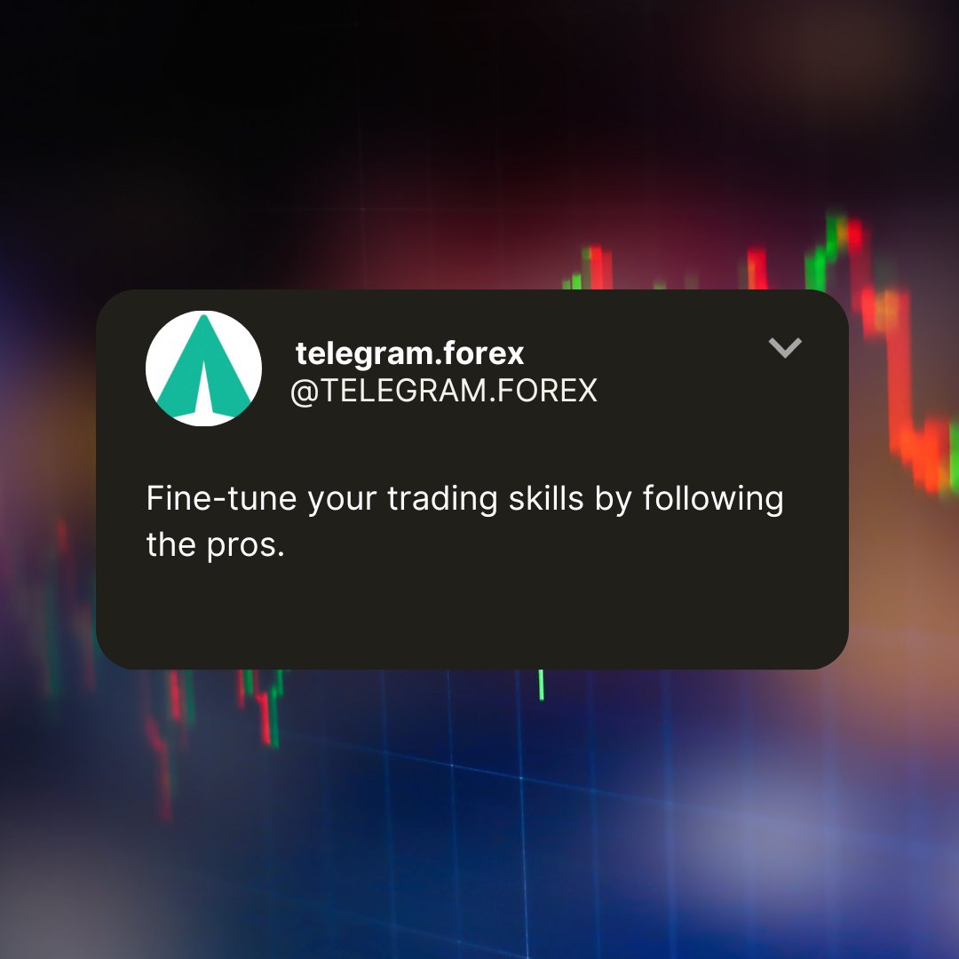 telegramforex2's tweet photo. 🌟 Elevate Your Trading Game! 📈 Join the elite and fine-tune your skills by following the pros. Discover the power of copy trading with us at https://t.co/cX1IA81rEW
.
.
.
.
.
#Forex #Trader #ForexEducation #DayTrading #Fx #ForexBroker #TopBrokers https://t.co/3qlwlGdQ2o