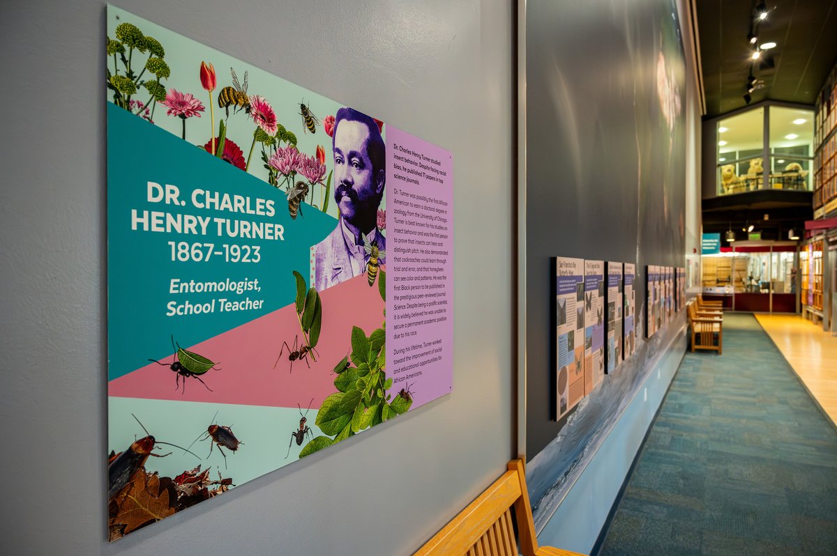 FloridaMuseum's tweet photo. Exhibit Spotlight πΌοΈ Black in Natural History Museums Scavenger Hunt
Explore #BlackinNHMs in a FREE exhibit developed in partnership with @BlackInNHMs. Walk our exhibits to discover feature panels of Black scientists & naturalists like Edmond Albius.
π https://t.co/e94z5oNfaS https://t.co/S38M8doh9j