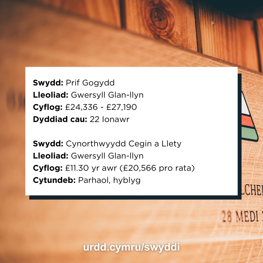 Urdd's tweet photo. Chwilio am swydd newydd? Ty'd i weithio i'r Urdd! 👋 

Am fwy o wybodaeth ac i weld pa swyddi a phrentisiaethau sydd ar gael, ewch draw i'n gwefan: https://t.co/sDI8rxGMEH https://t.co/o4CpCUS6SD