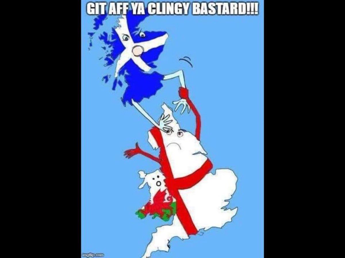 iammockatory's tweet photo. Ah ha! I’ve stirred up
The Yoons again 🤣 https://t.co/v0CXut72vy