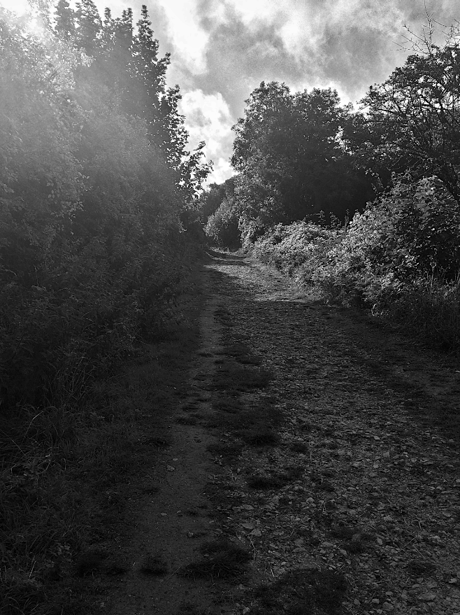 HooklandGuide's tweet photo. Hooklanders call it 'the Other Path'. They say it wanders, that it won't stay still enough to be recorded on any map. They say if you stumble across it and walk it for too long it will take you deep into Faery. https://t.co/hFI1Iw6hY1