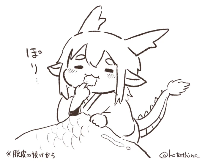 (東洋竜さんは自分の脱皮した皮をポテチ感覚で食べるよ!) 