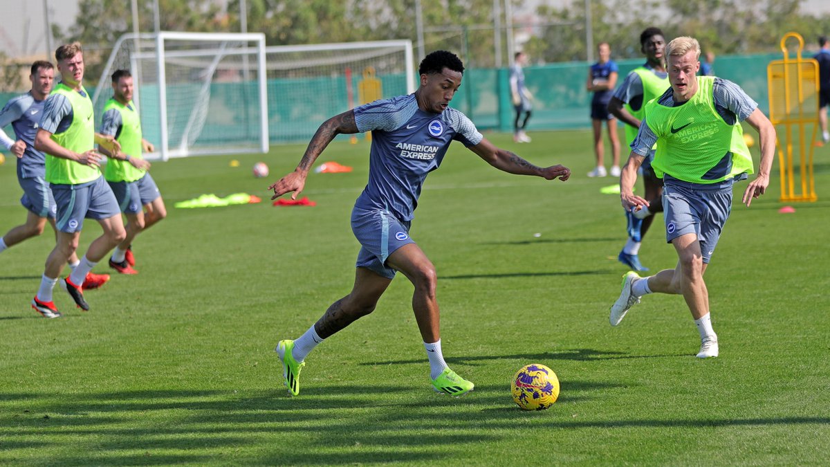 Brighton & Hove Albion tweet media