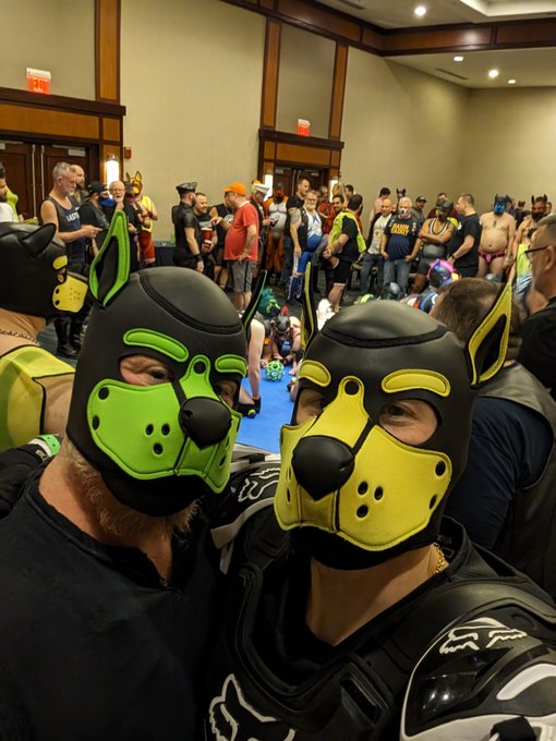 So many puppies https://t.co/xXKV9nbT0j<a href="/tag/flexfriday"class="tags"><span>#flexfriday</span></a>