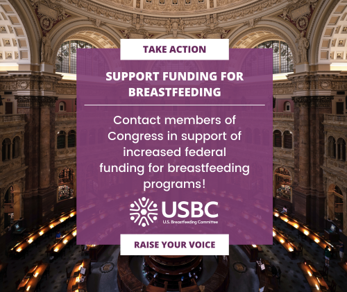 The year is underway, but policymakers have not yet reached an agreement about the FY24 federal budget. Negotiations are happening now, so it's critical that legislators hear from constituents about the need to invest in breastfeeding. Take action with us: bit.ly/3QxGlsj