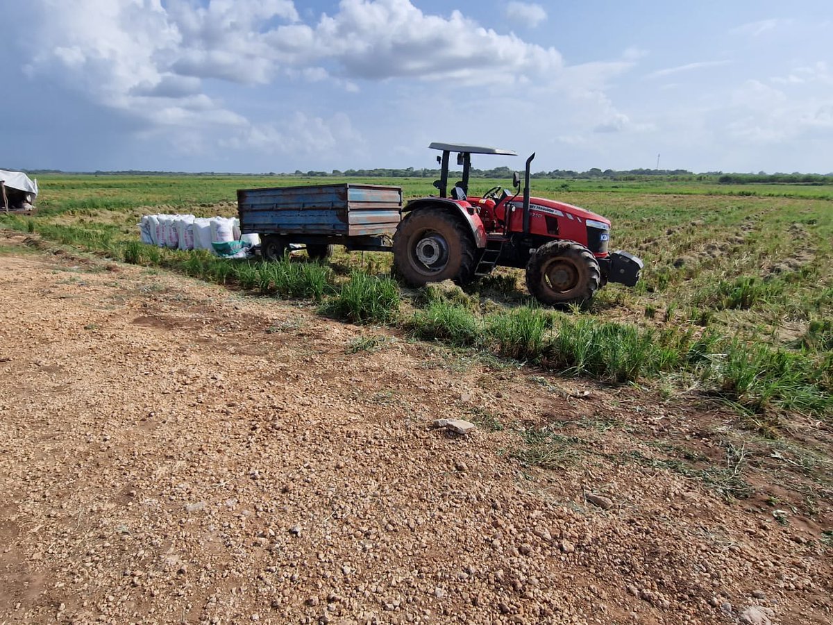 TardaKE's tweet image. 5: This collaborative effort signifies a dedication to overcoming challenges, ensuring the success and longevity of the TDIP Project. At @TardaKE we're keen on navigating the path of progress, as we look forward to shaping a resilient and thriving #foodsecure future for 🇰🇪. #TDIP