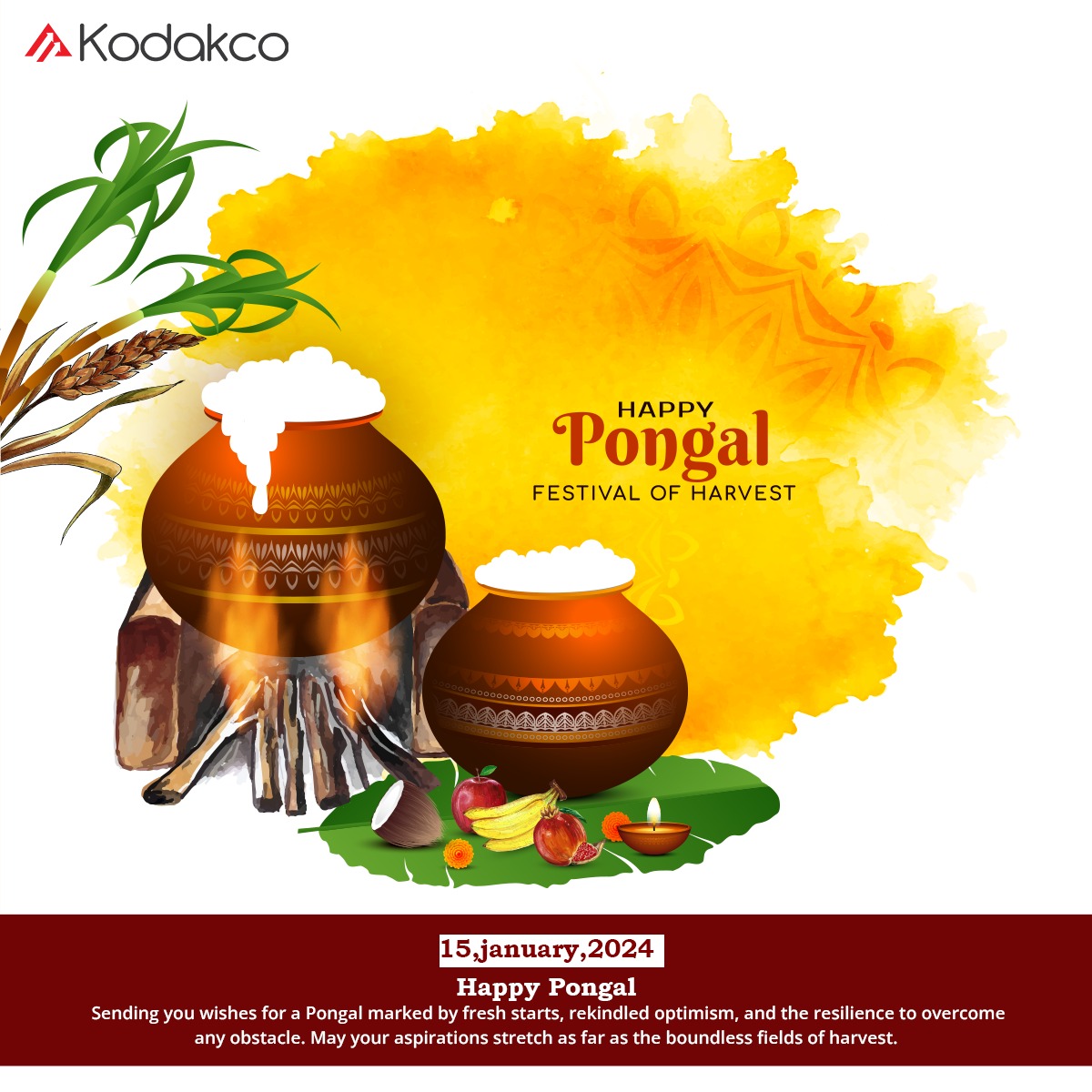kodakco_'s tweet photo. Celebrating the spirit of Pongal with gratitude, joy, and the warmth of traditions. May this harvest festival fill your lives with abundance and prosperity. Wishing everyone a Happy Pongal from Kodacko Consultancy! 🌾🌞 
#PongalCelebration #HarvestJoy #KodackoConsultancy https://t.co/8Q33zpZGJa