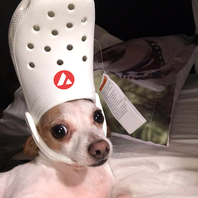 <a href="/blknoiz06/">Ansem</a> wif crocs next?      $DWC